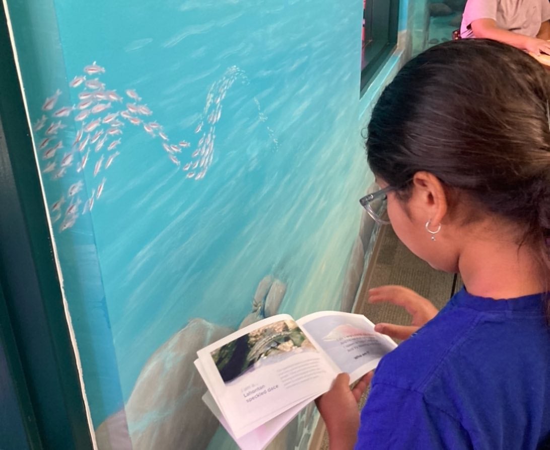 A child reads a booklet about fish while standing next to the mural.