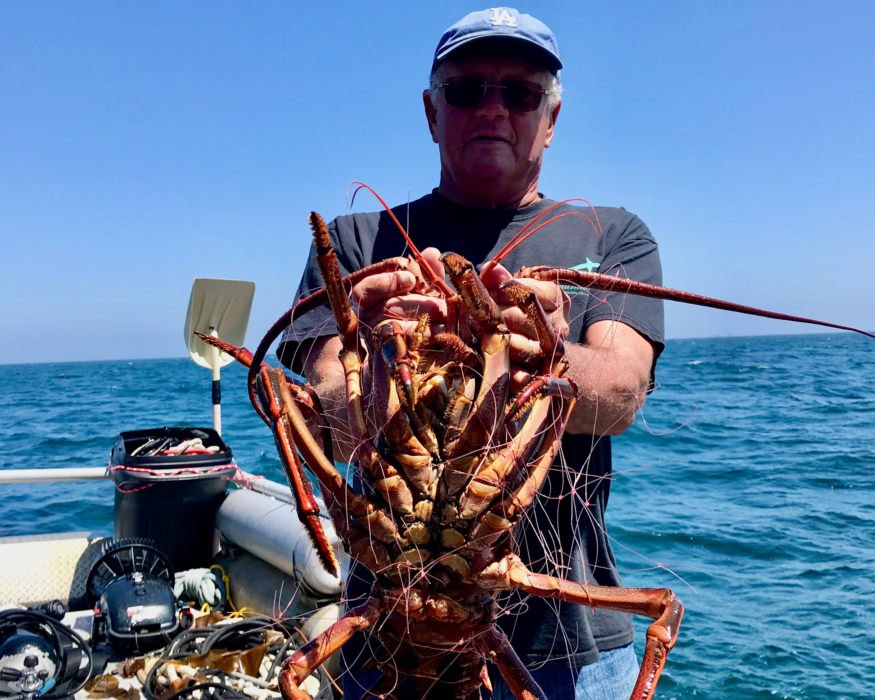 Boater holds a live lobster with ocean background