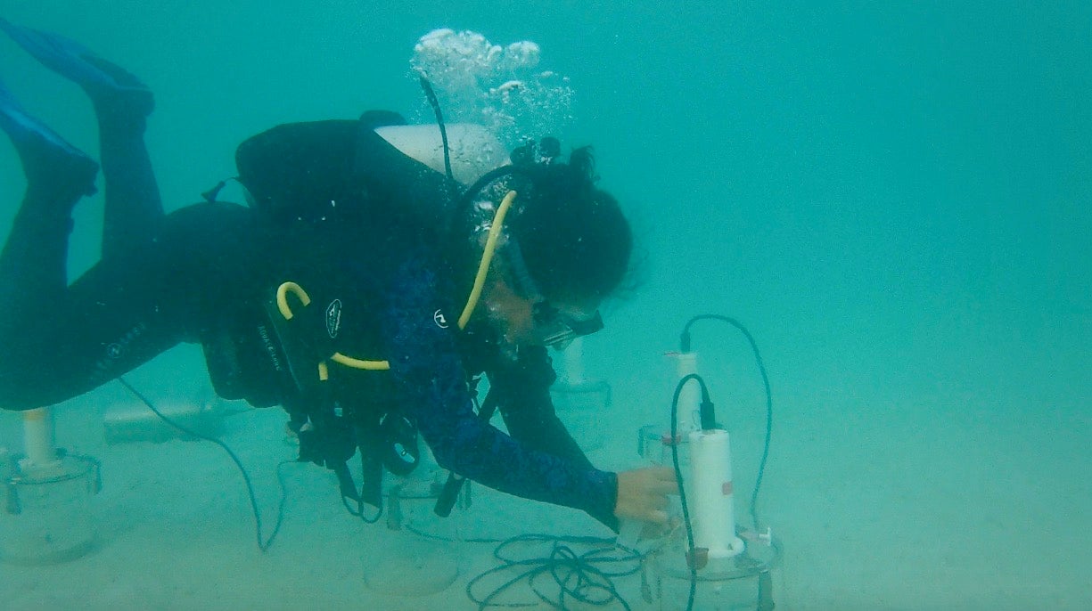 Woman scientist SCUBA diving during field work