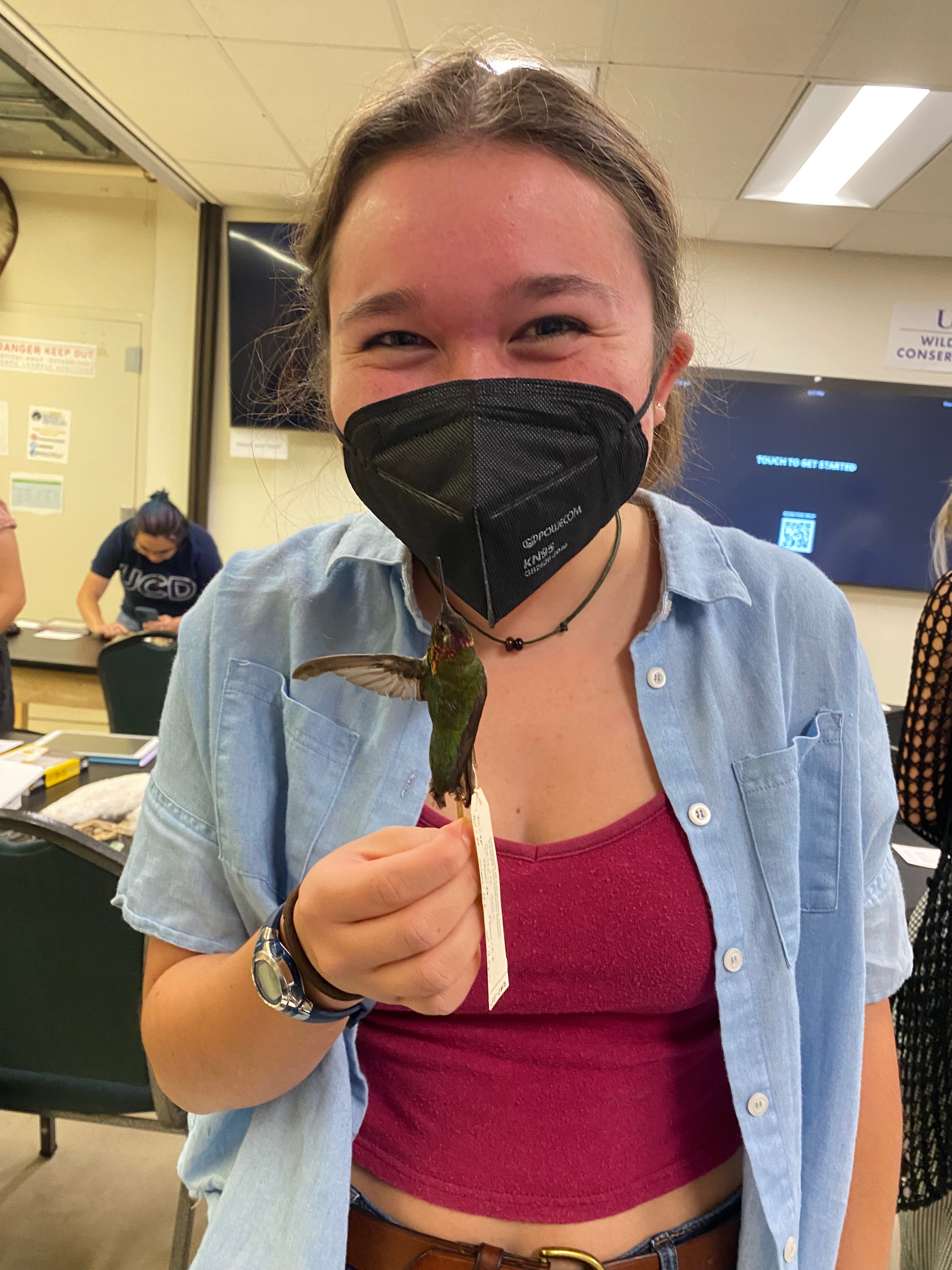 UC Davis student Malia Reiss ni mask holds preserved hummingbird during class, looking at camera