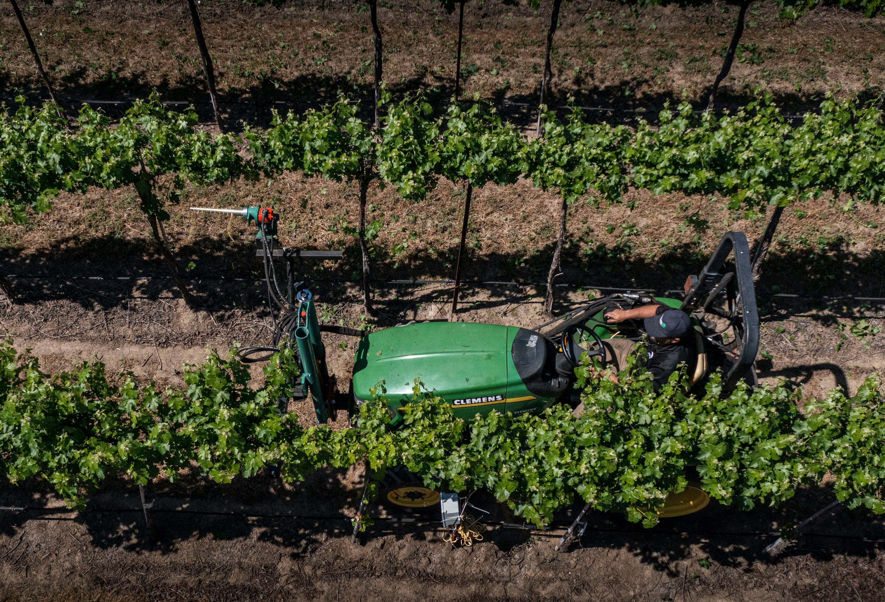 Picture of machine to manage vineyard canopies