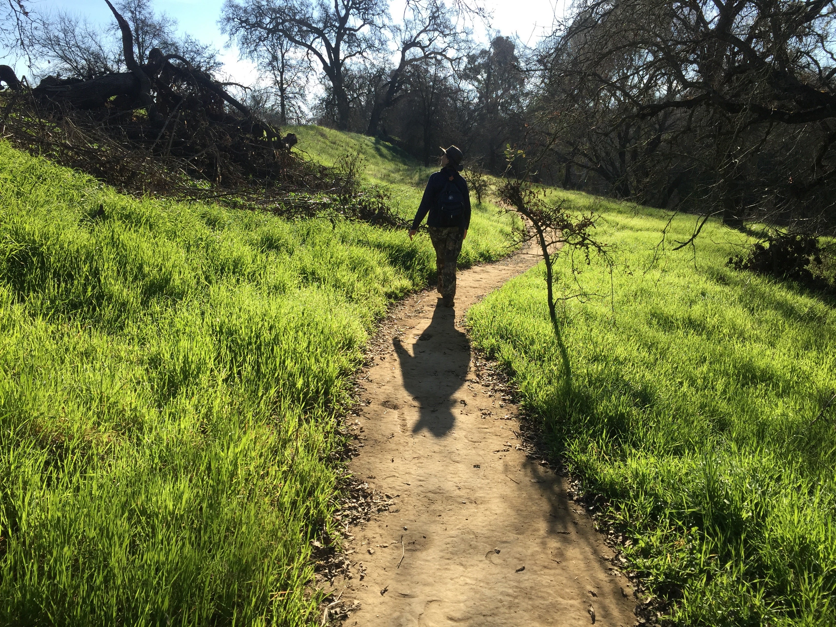 A woman walks along a path, flanked by bright green grass in a riparian reserve