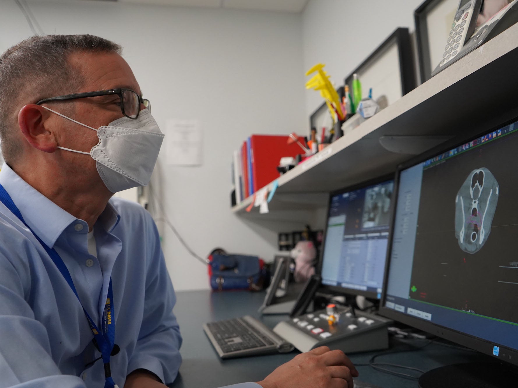 Michael Kent looks at a computer screen showing an image of the skull of a dog with cancer.