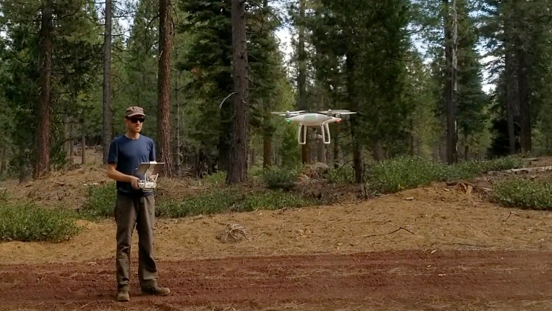 Male researcher Derek Young flies drone in conifer forest