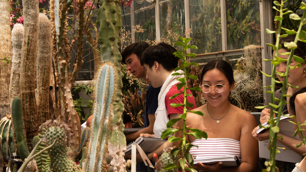 Three students in Introduction to Biological Sciences do a lab class in the Botanical Conservatory greenhouse. 