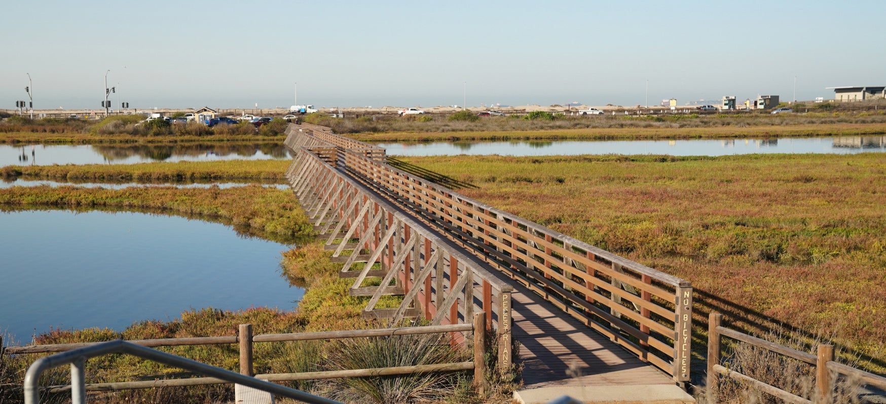 A raised platform spans a marshy area.