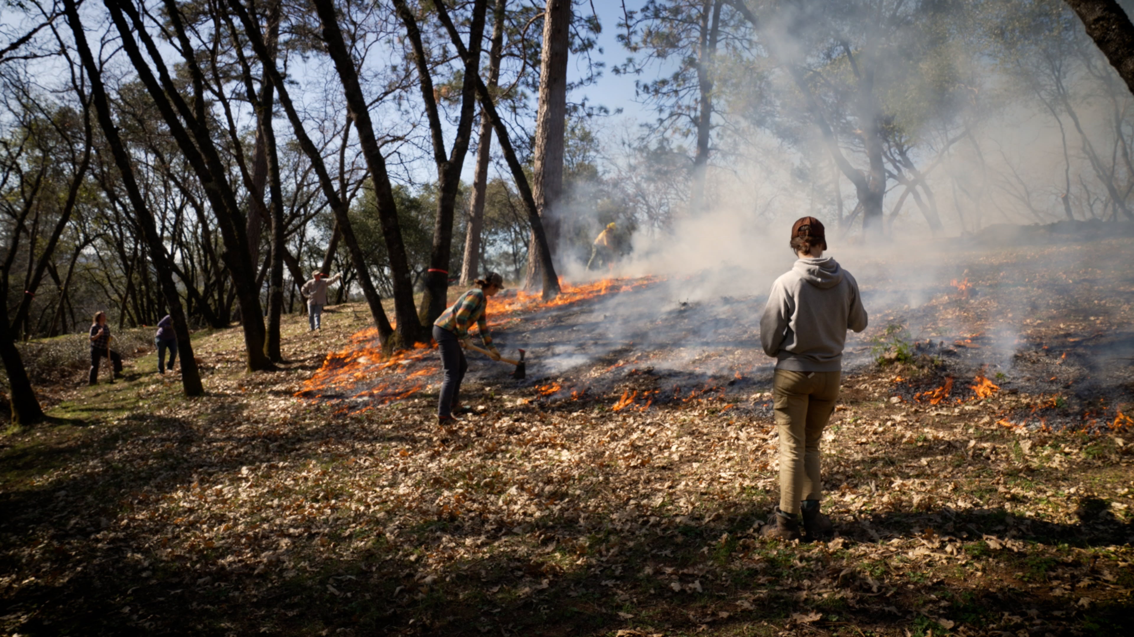 An orange flame circles a meadow with smoke as six people stand scattered throughout a wooded property during prescribed burn