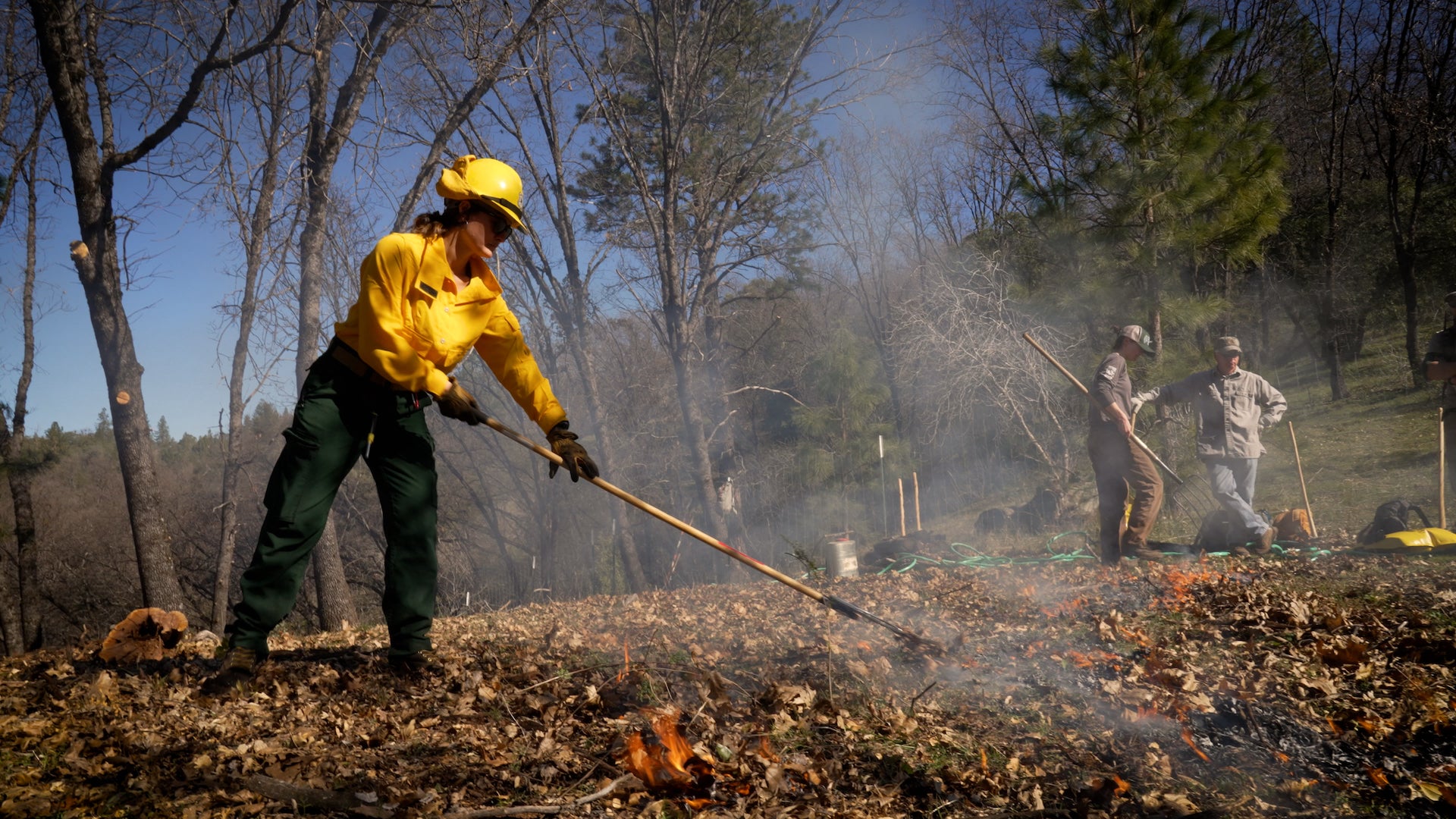 Female firefighter rakes leaves while tending a prescribed burn, with people in distance