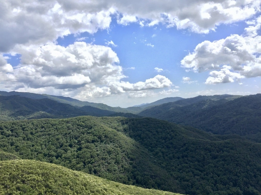 Quail Ridge Reserve, California, before wildfire