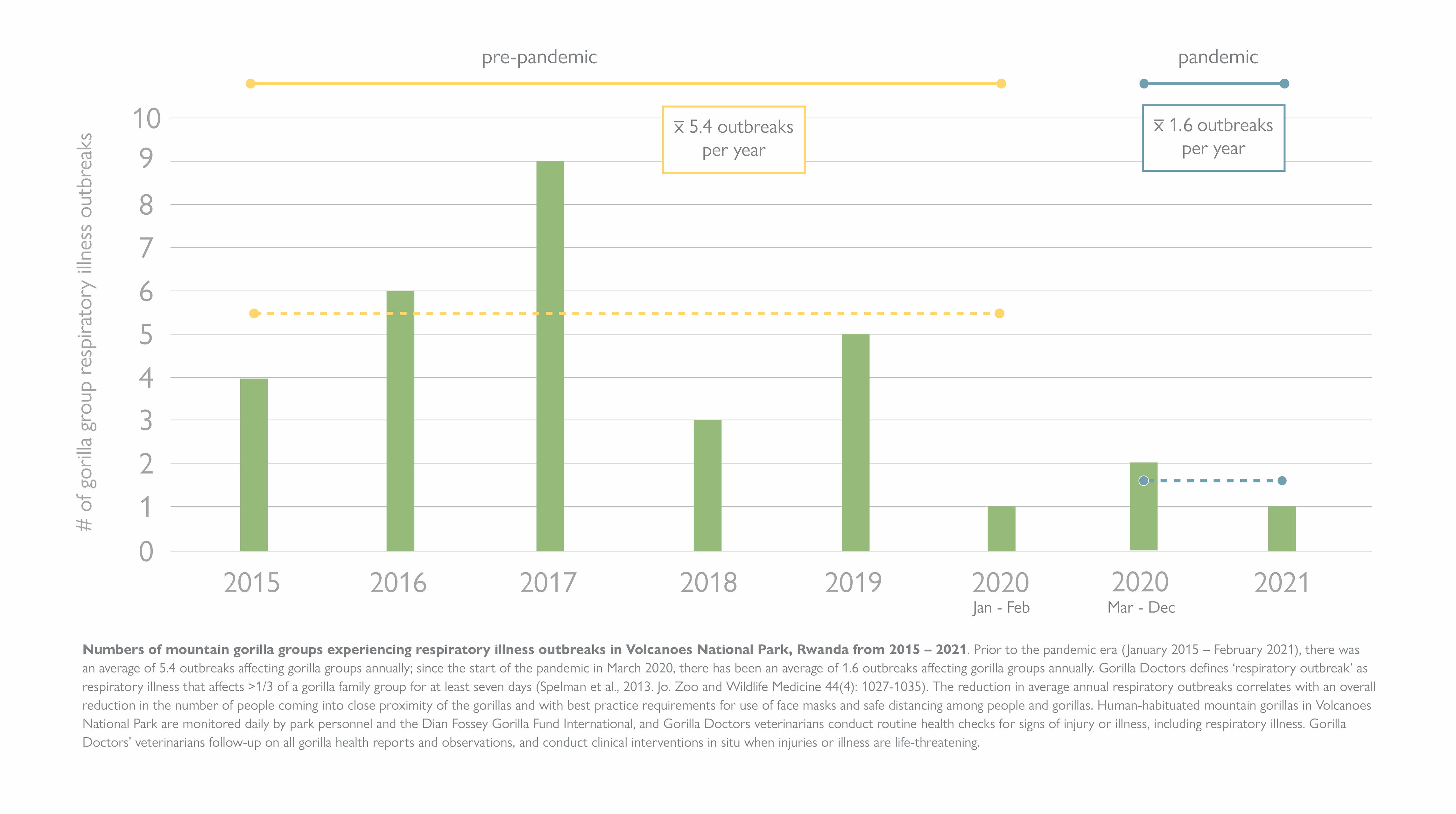 Bar graph showing numbers of mountain gorilla groups experiencing respiratory illness outbreaks in Volcanoes National Park in Rwanda between 2015-2021 