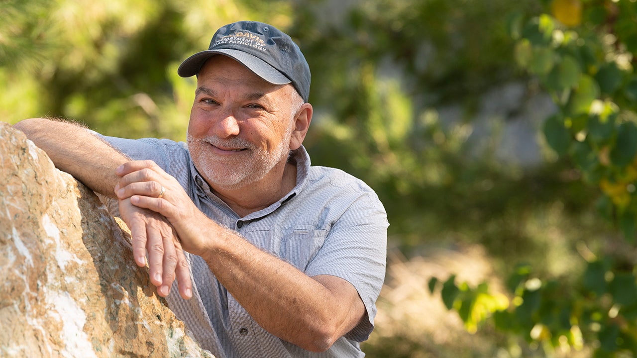 Smiling man in cap leaning on rock in sunlit greenery
