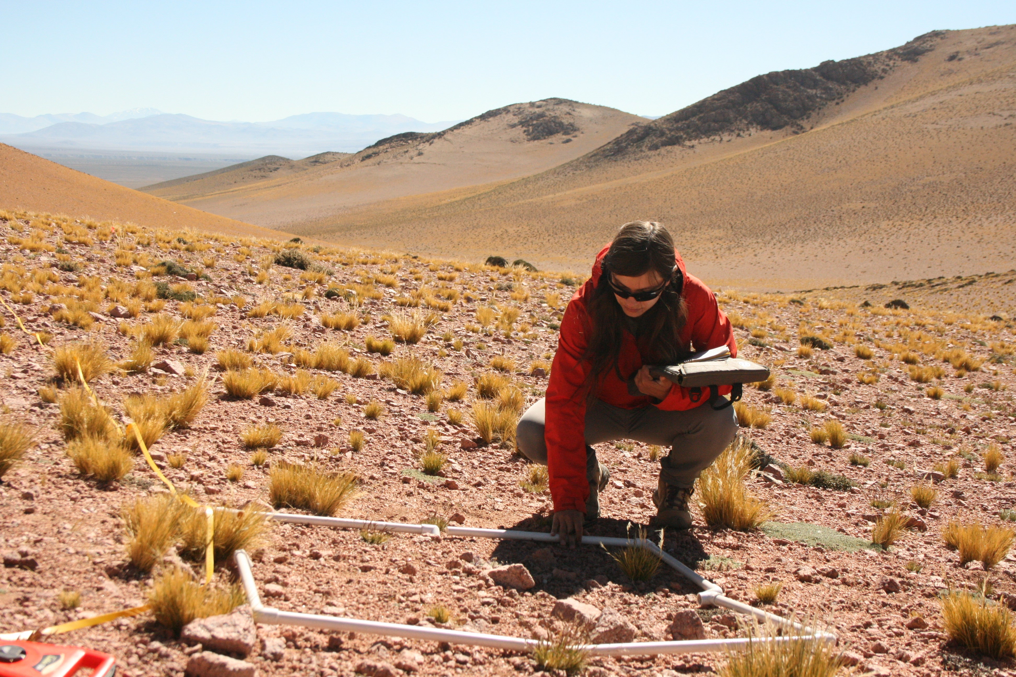 Female scientists samples a plot on an open plaini in Argentina