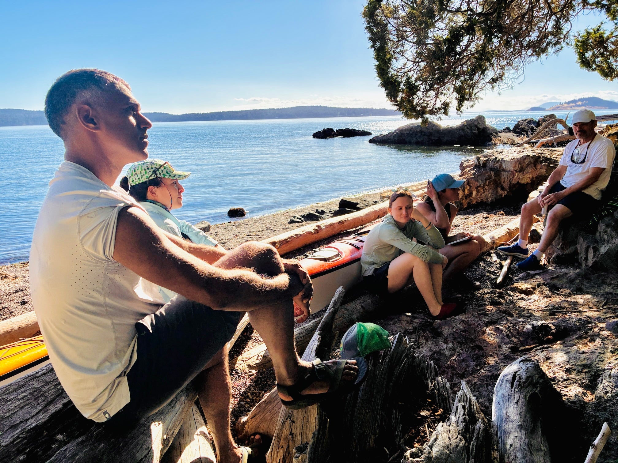 Four friends relaxing on a rocky shore beside kayaks under a pine, sunny sea.