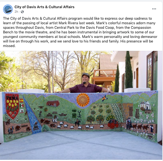 Facebook post of artist and mural