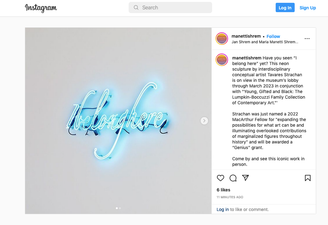 instagram post of manetti shrem icon