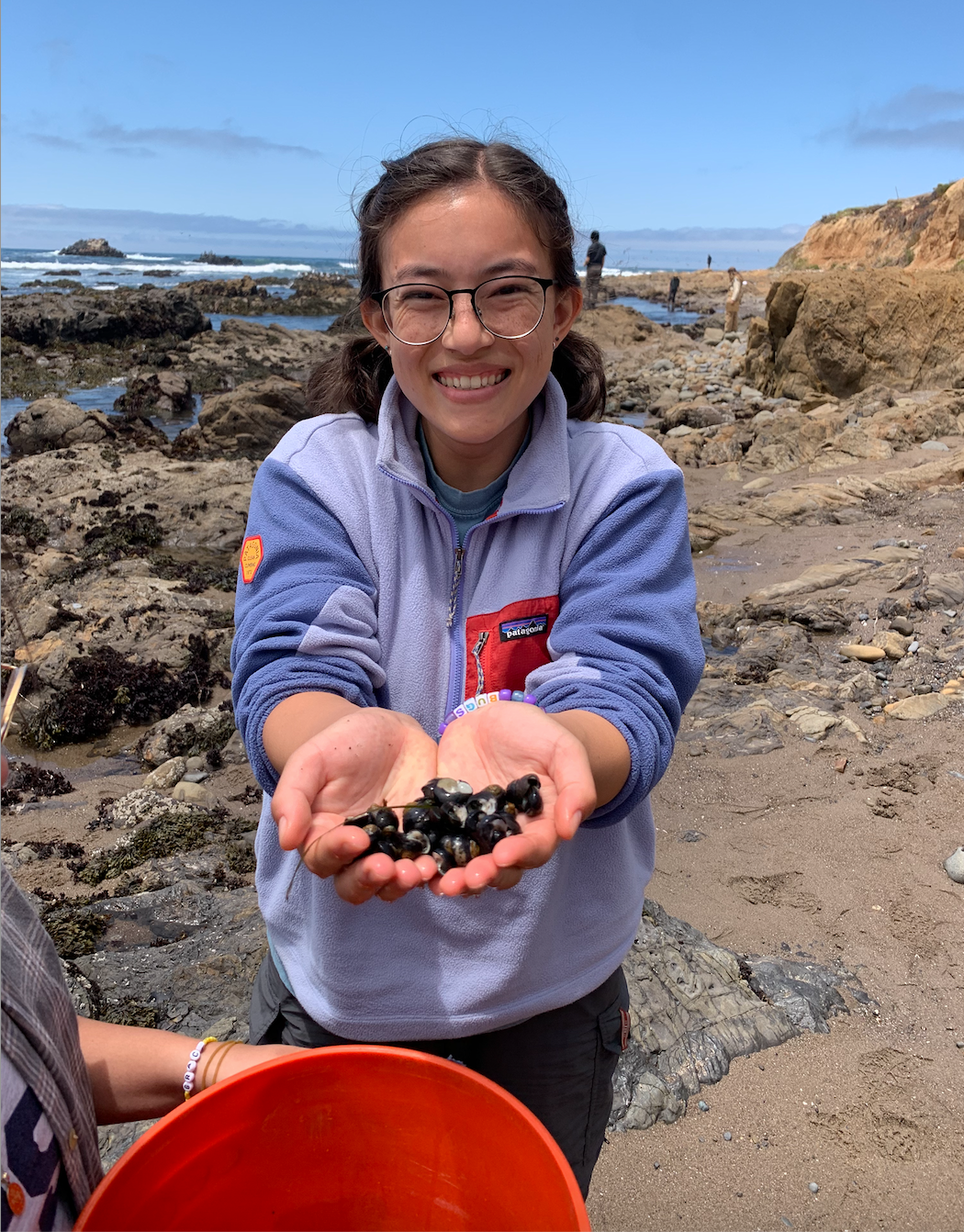 Mia Emerson holds hermit crabs in tide pools 