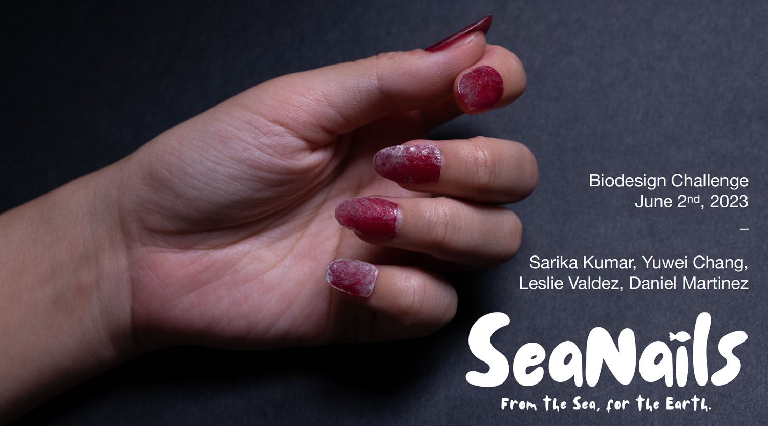 Poster showing prototype of a natural nail called "SeaNails"