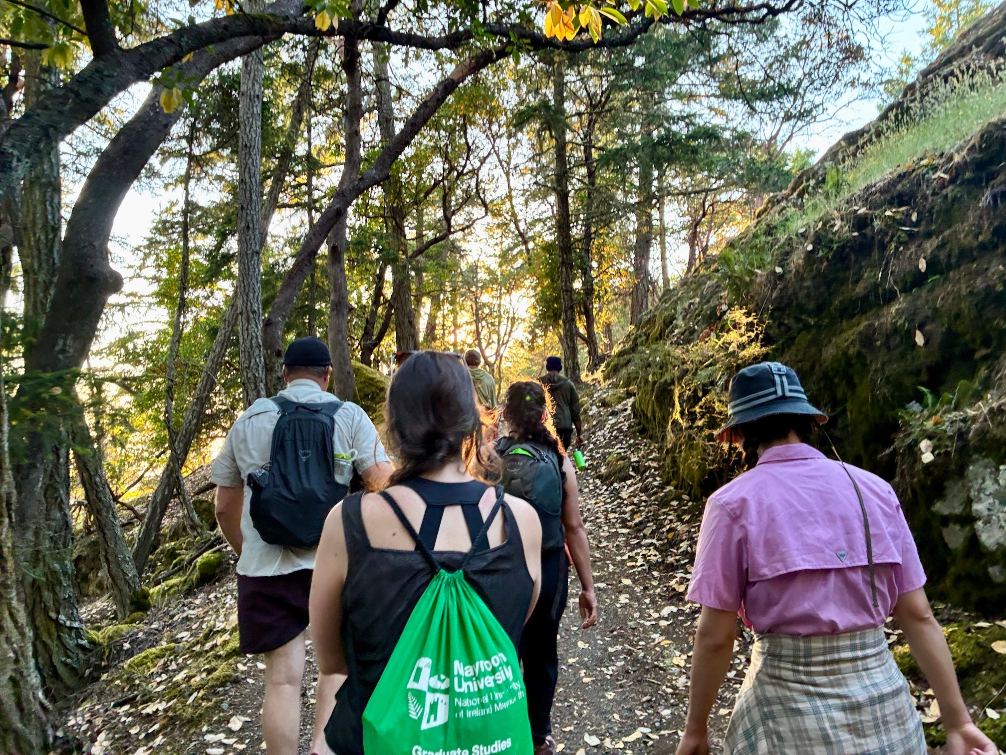 Group of hikers walking on sunlit forest trail, backpacks and dappled light.