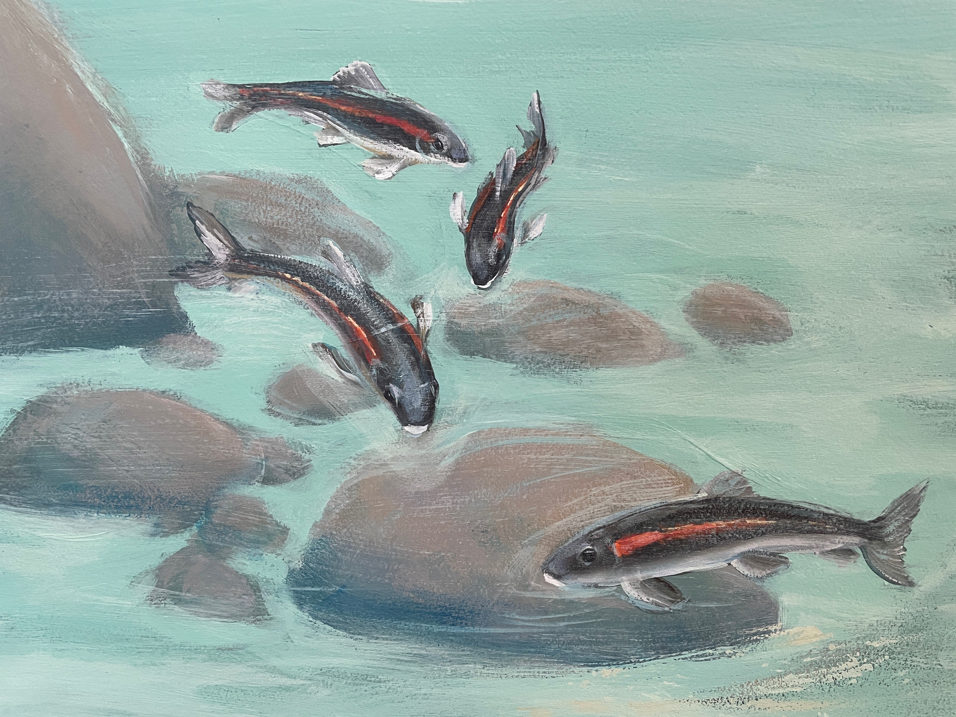 A part of the mural featuring Tahoe sucker fish in blue water and some brown rocks.