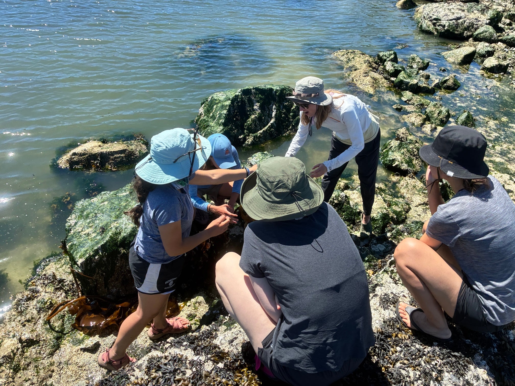 People in sun hats examining a tidepool on a rocky shoreline