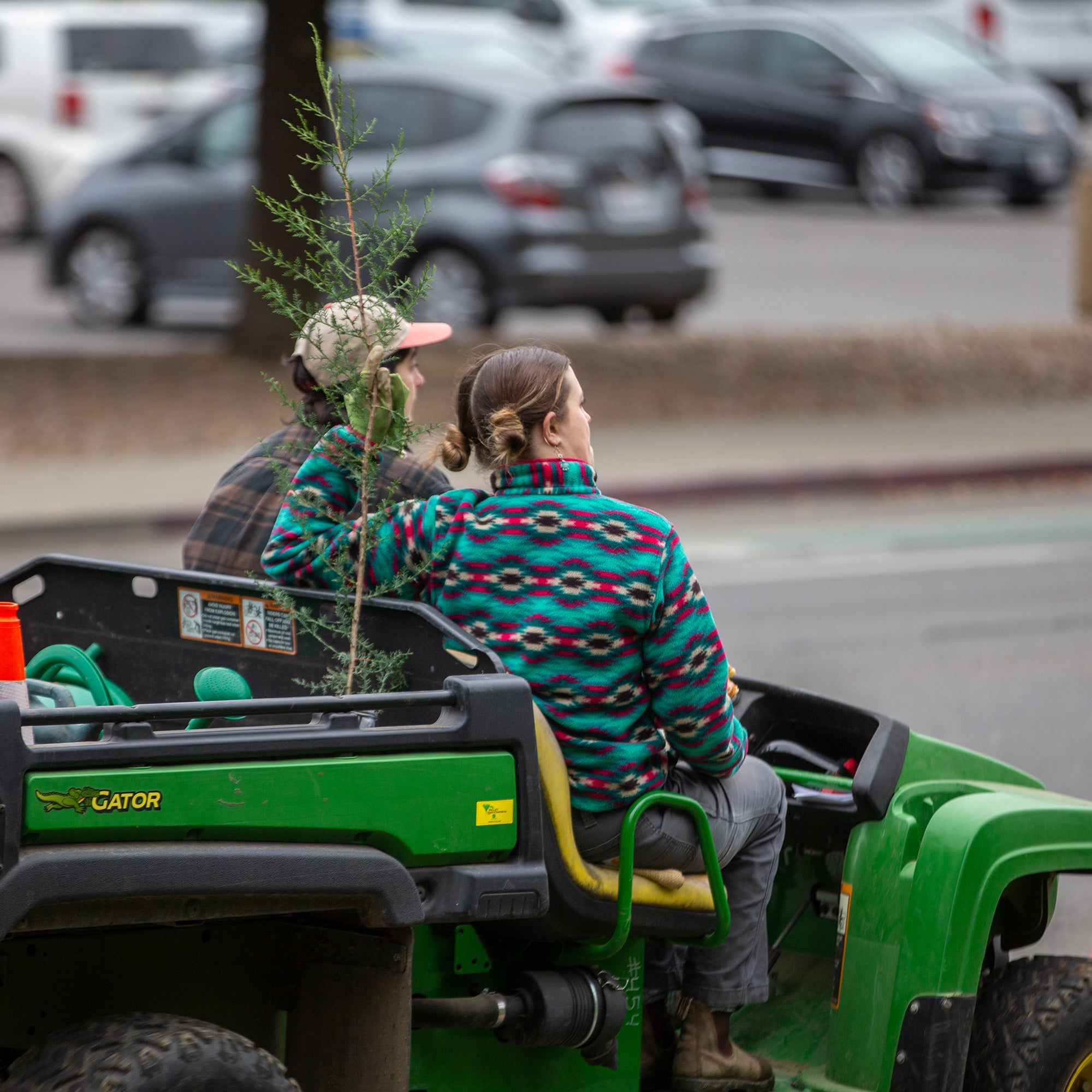A new tree gets a ride to its new location