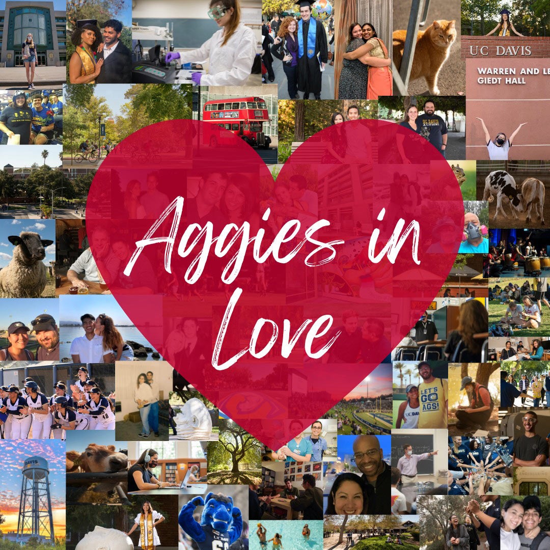 "Aggies in Love" in heart, atop campus couple photo collage