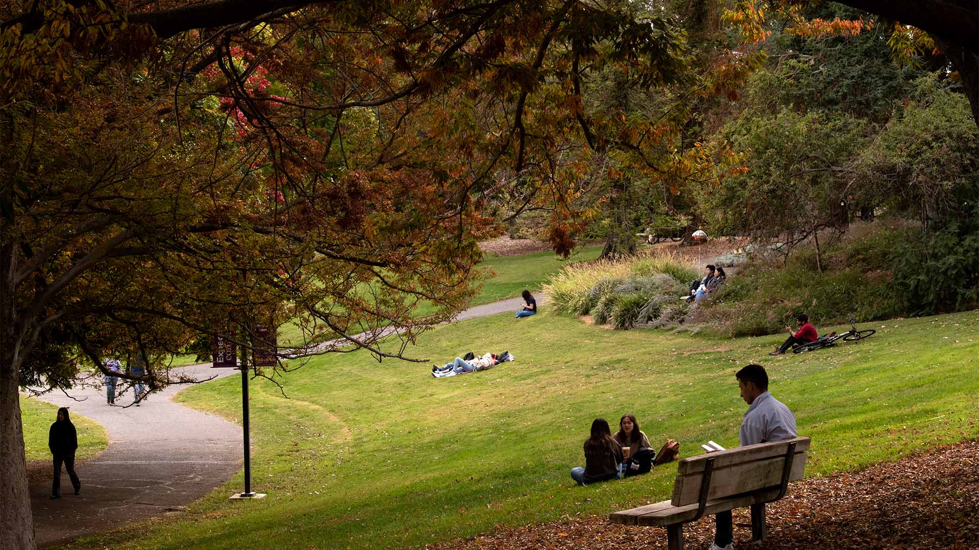 View of people relaxing and studying near Lake Spafford.