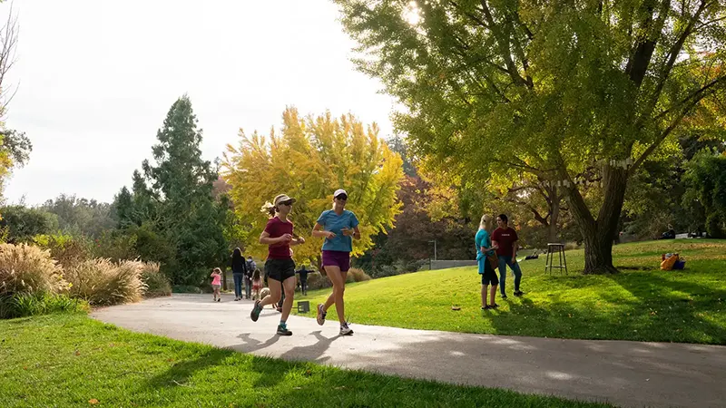 Three runners jogging along a sunlit park path under yellow autumn trees