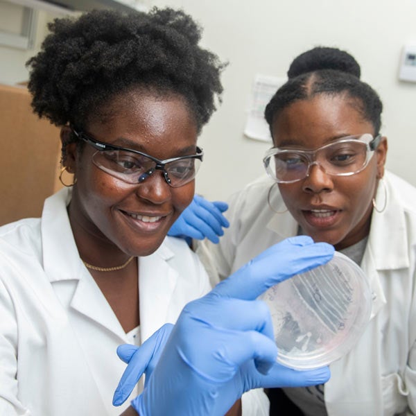 Two female students examine a petri dish