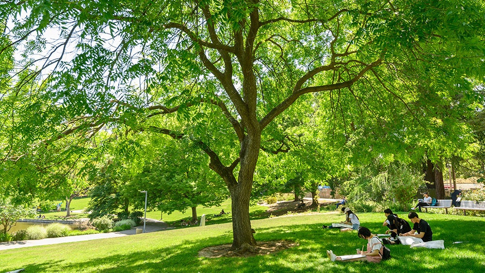 students sit at sunny arboretum