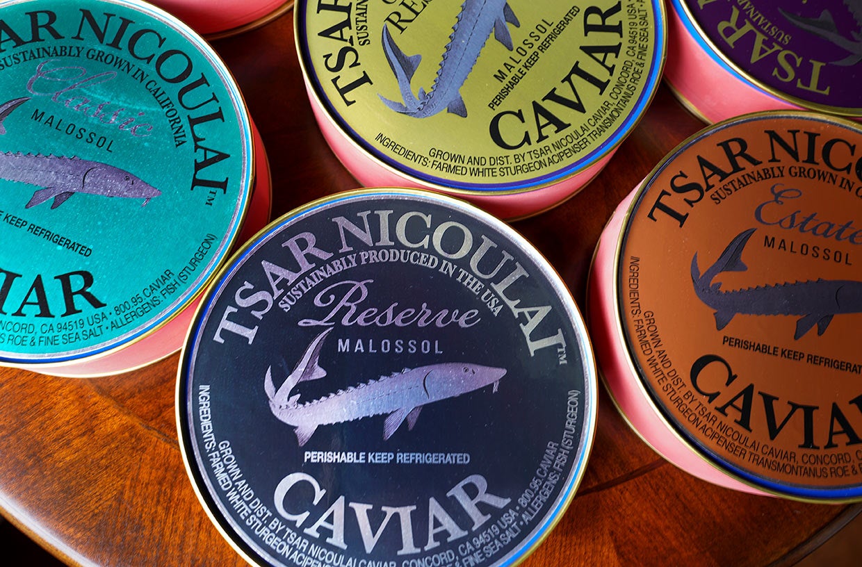 cans of caviar