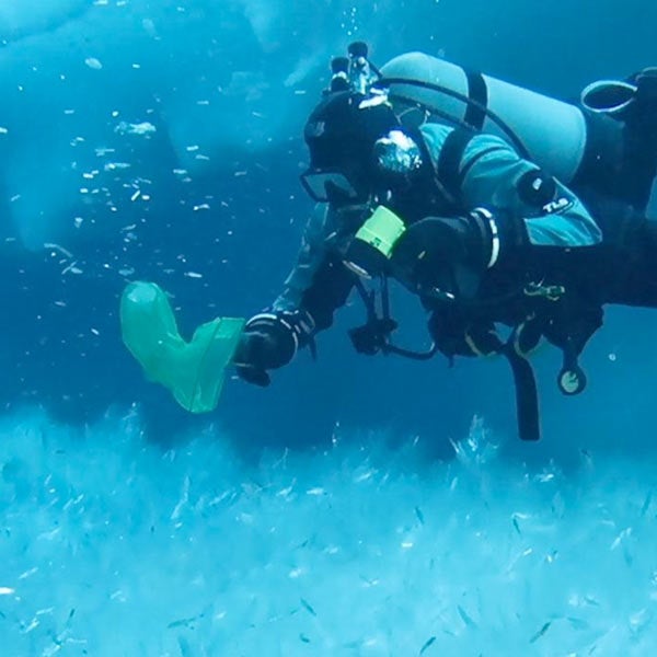 A diver under an icesheet takes biological samples
