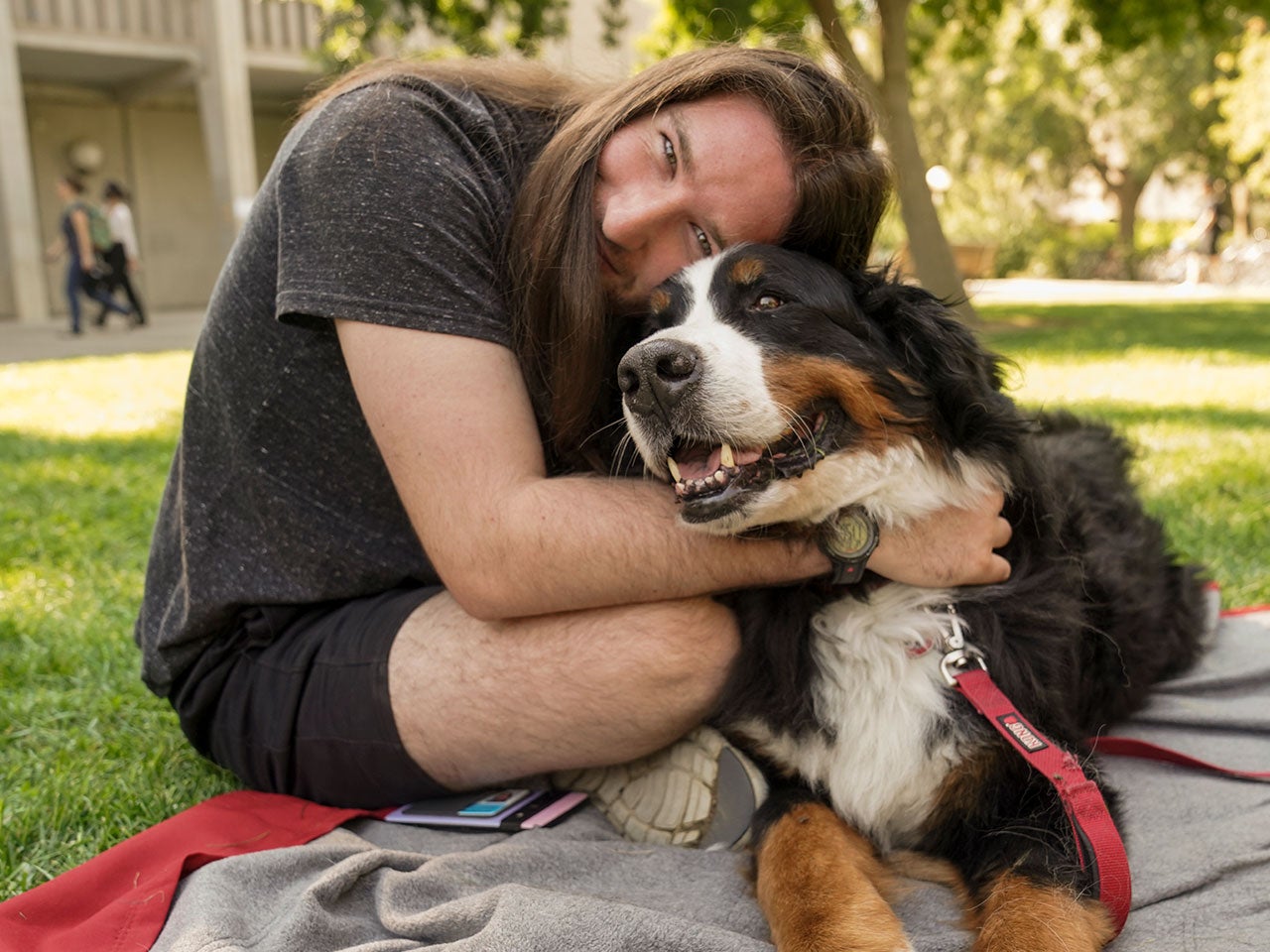 A UC Davis student sits on a blanket in the quad and hugs a large, smiling brown, black and white dog.
