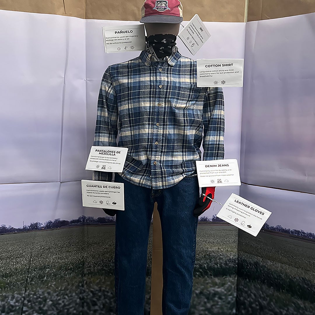 A mannequin dressed in farm work clothes. Each article of clothing is labeled in English and Spanish.