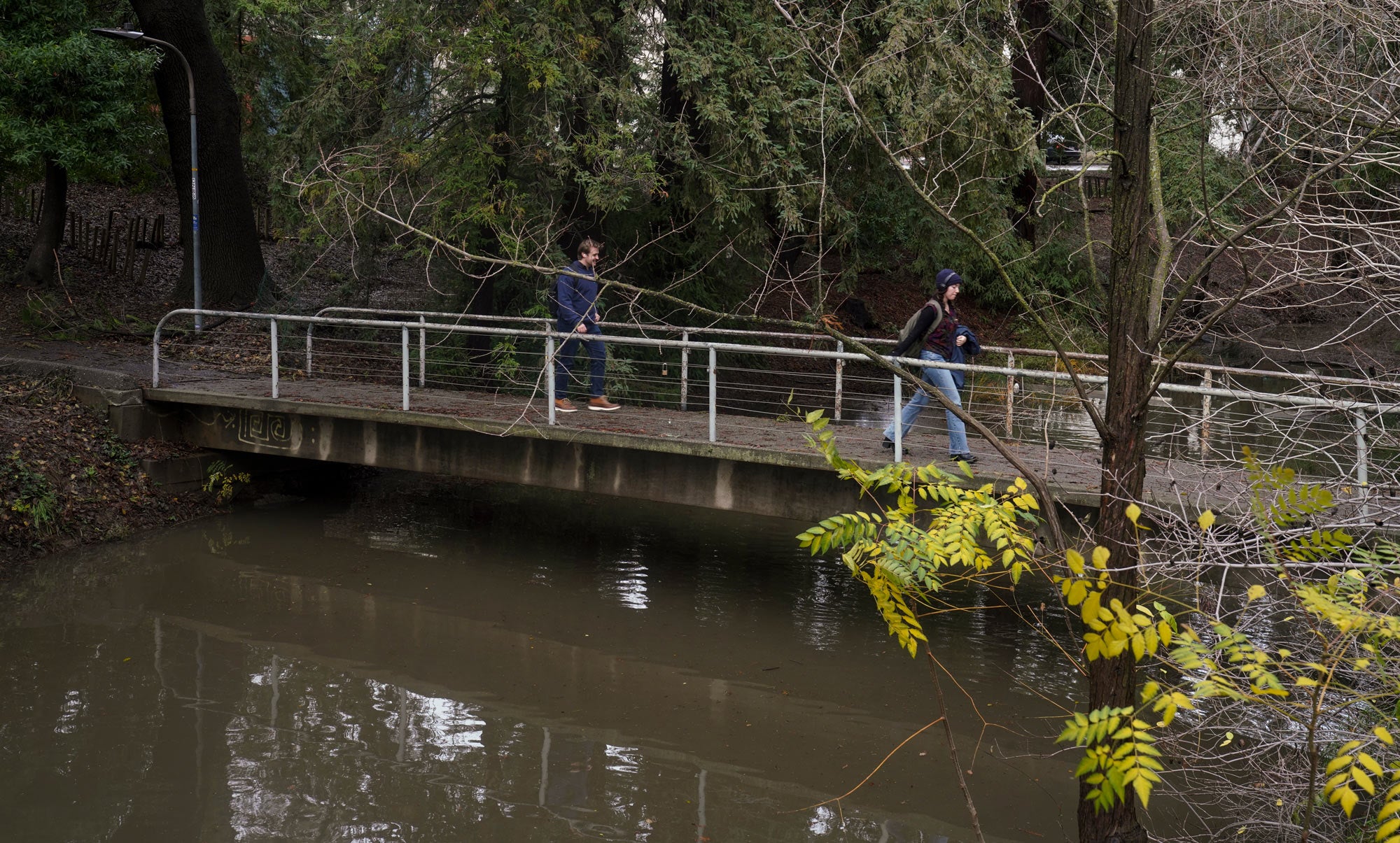 Two people walk across footbridge over the Arboretum Waterway (creek)