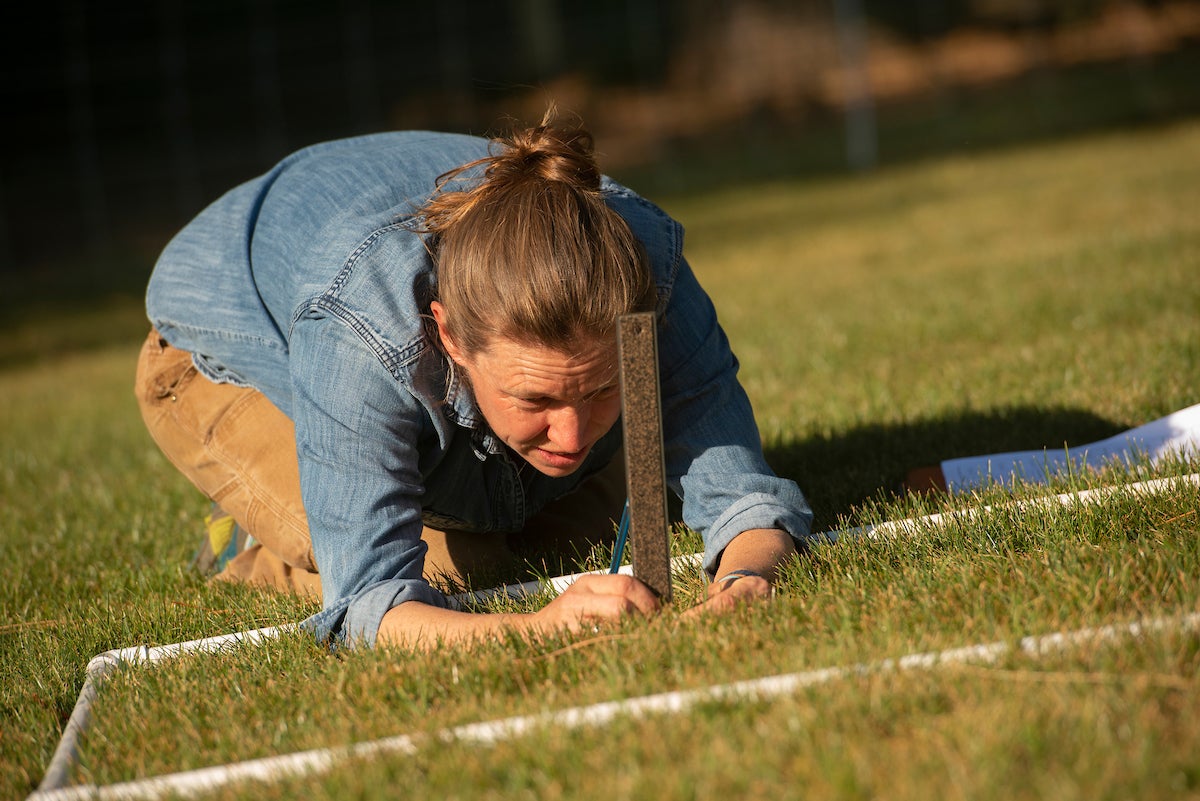 Haven Kiers, assistant professor, measures grass.