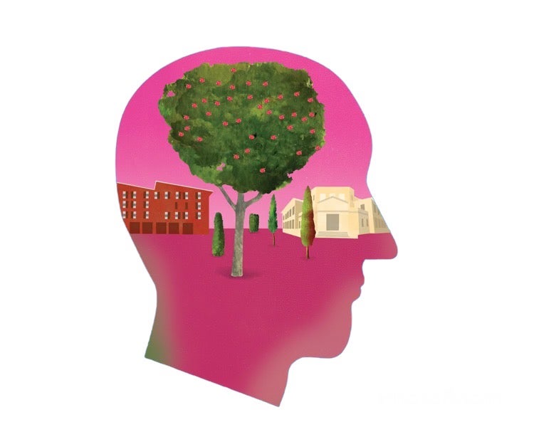 An illustration of a person's head with a college campus inside