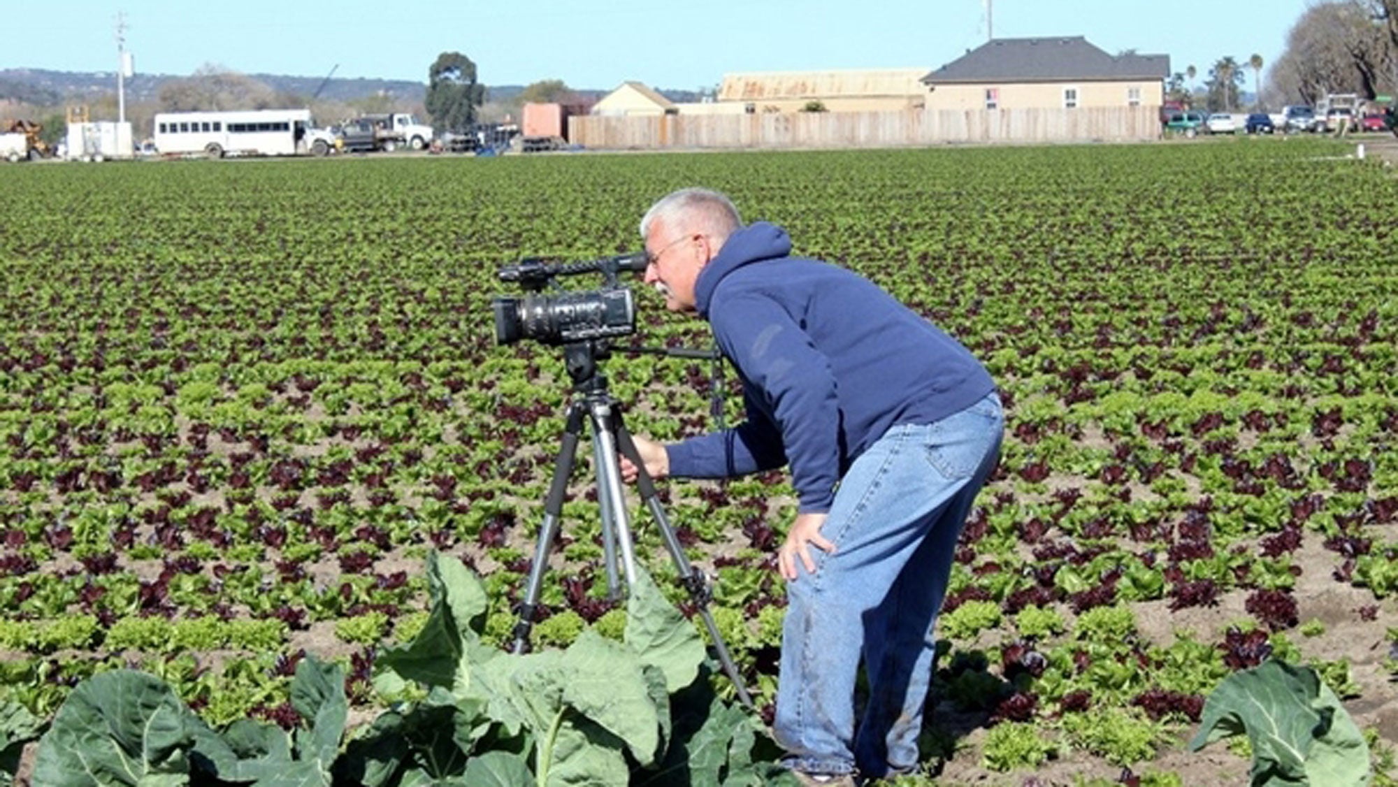 Person shoots video in cropland