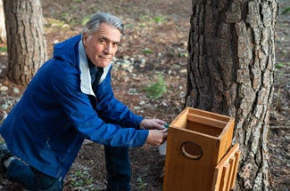 Man tends to nestbox amid trees
