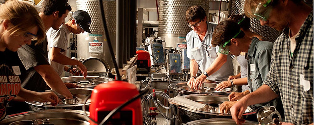 Students gather in a lab for a wine crush. 