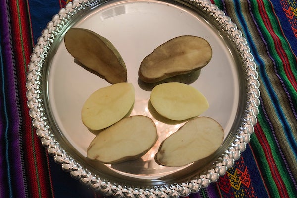Non-browning GMO potatoes on a serving tray.