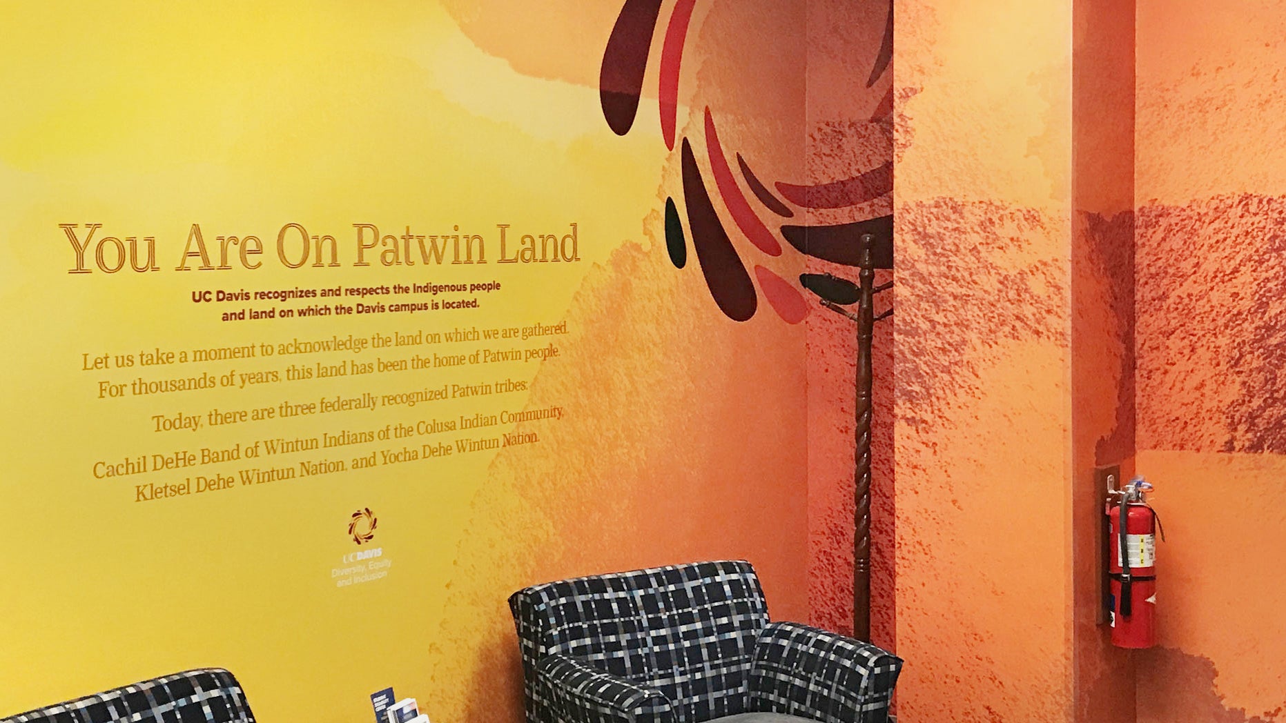 Diversity, Equity and Inclusion office wrap, yellows and oranges, and "You Are on Patwin Land" inscription 