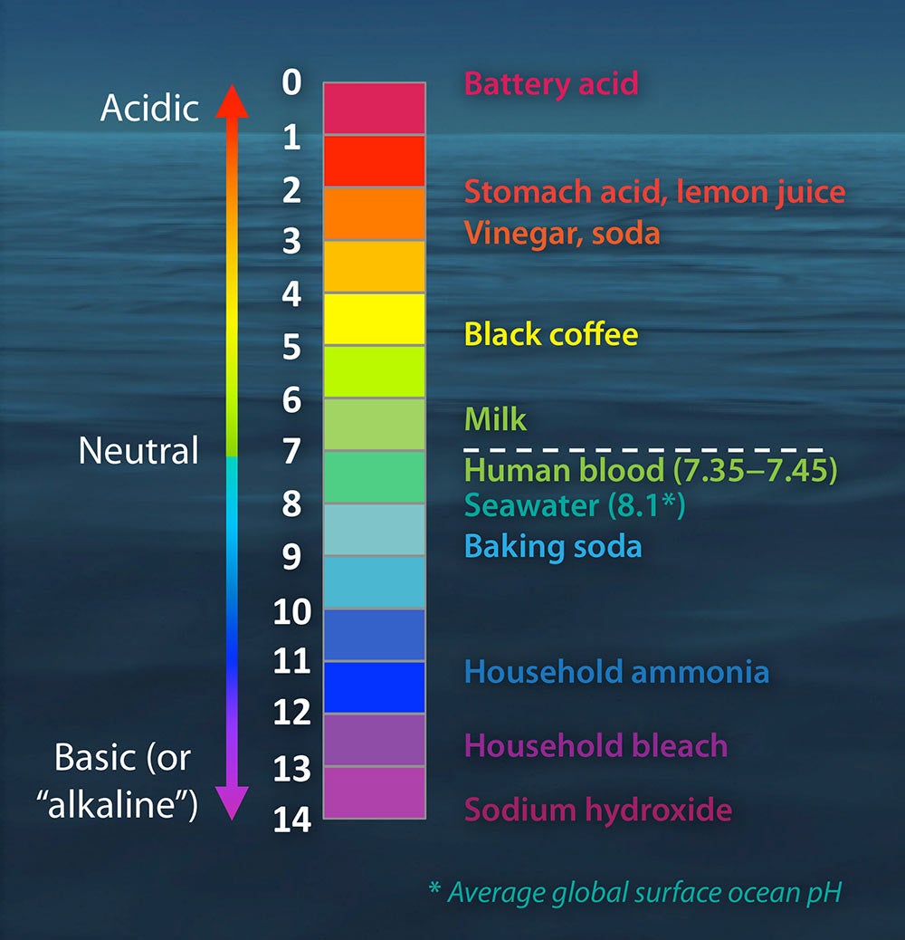 ph meter