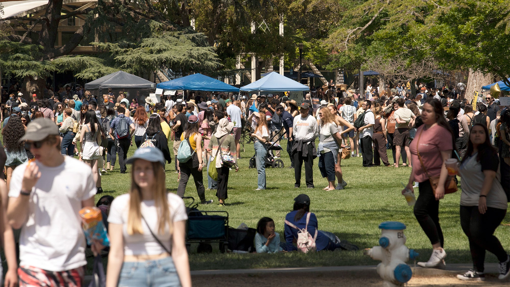 Large crowds of people gather on the Quad.