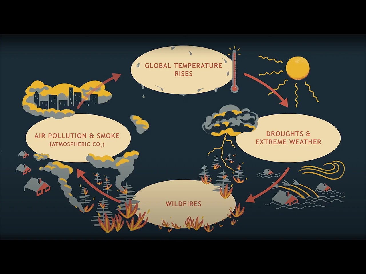 A graphic showing the positive feedback cycle: “Global temperature rises,” “Droughts and extreme weather,” “Wildfires,” “Air pollution and smoke (atmospheric CO2)”
