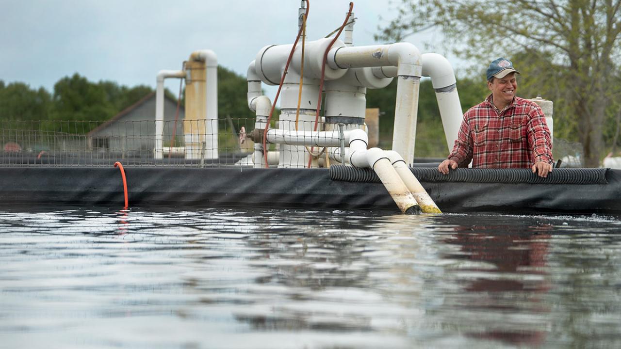 grinning man pouring water into aquaculture tank