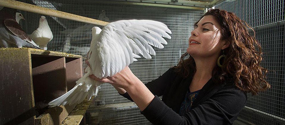 Rebecca holds onto a white bird spreading its wings at UC Davis. 