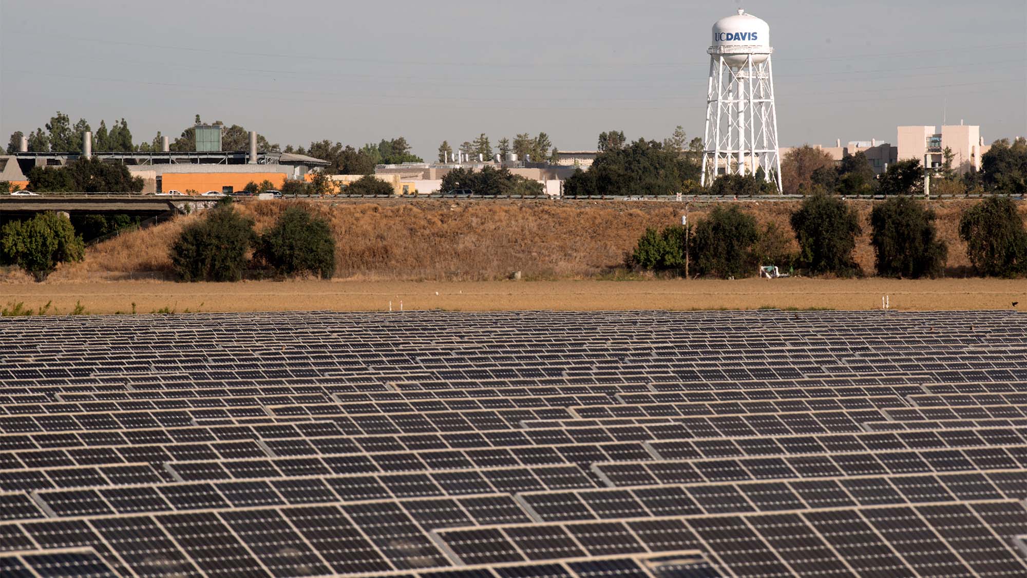 Solar farm with UC Davis water tower in background.