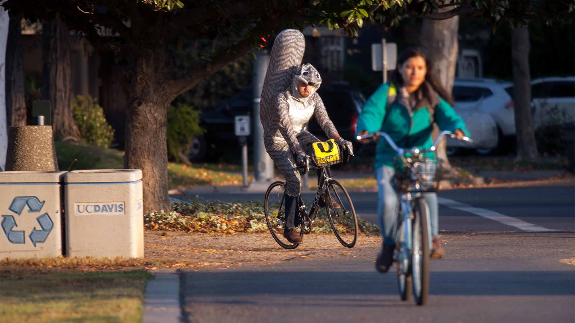 Student rides bicycle in squirrel costume.