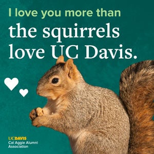 Valentine's image of squirrel: "I Love you more than the squirrels love UC Davis"
